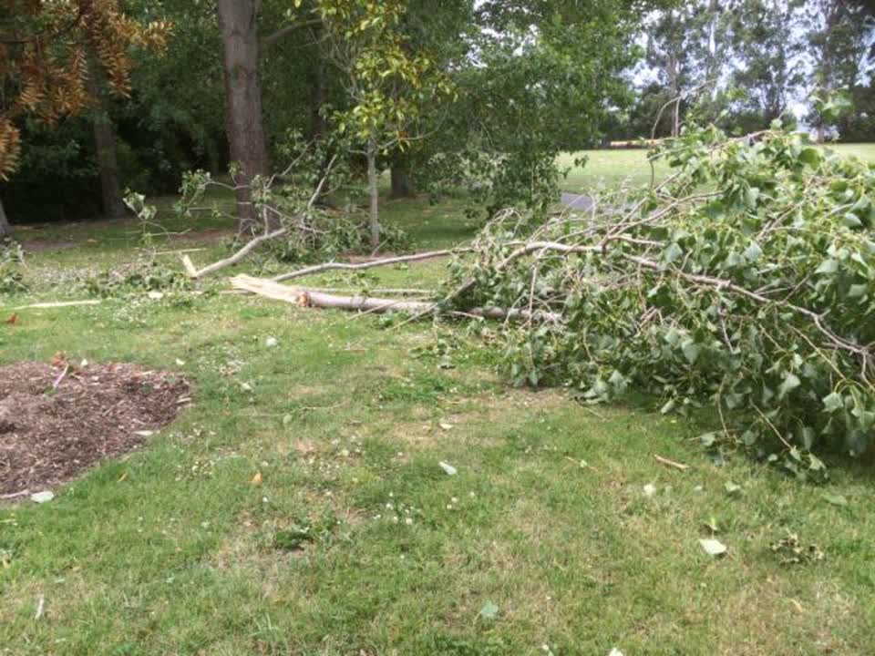 The photograph attached to this parks report