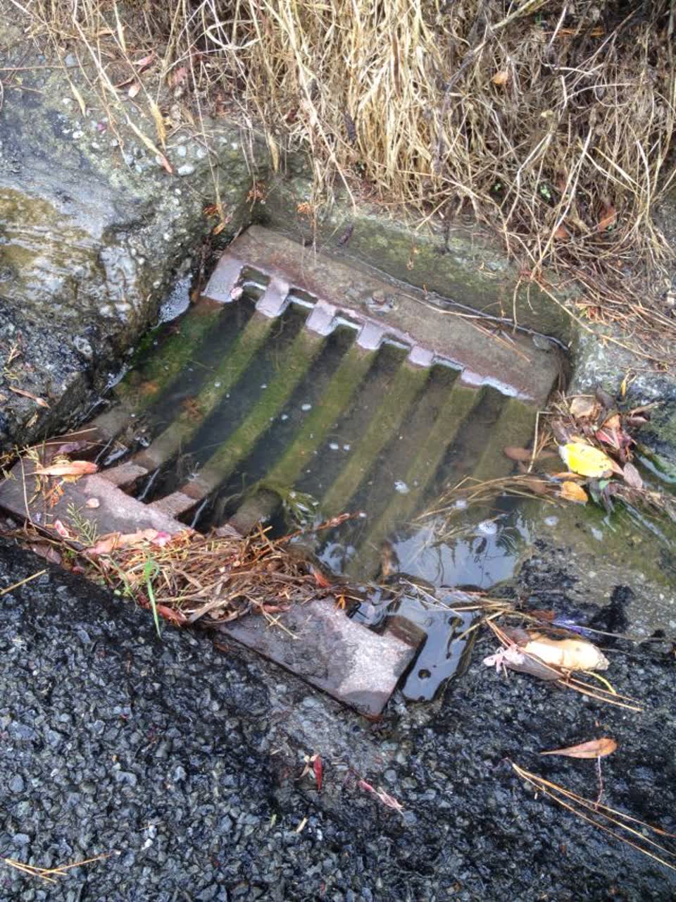 The photograph attached to this wastewater/stormwater report