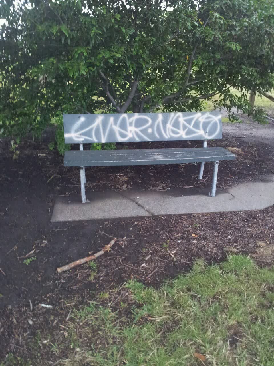 The photograph attached to this graffiti report