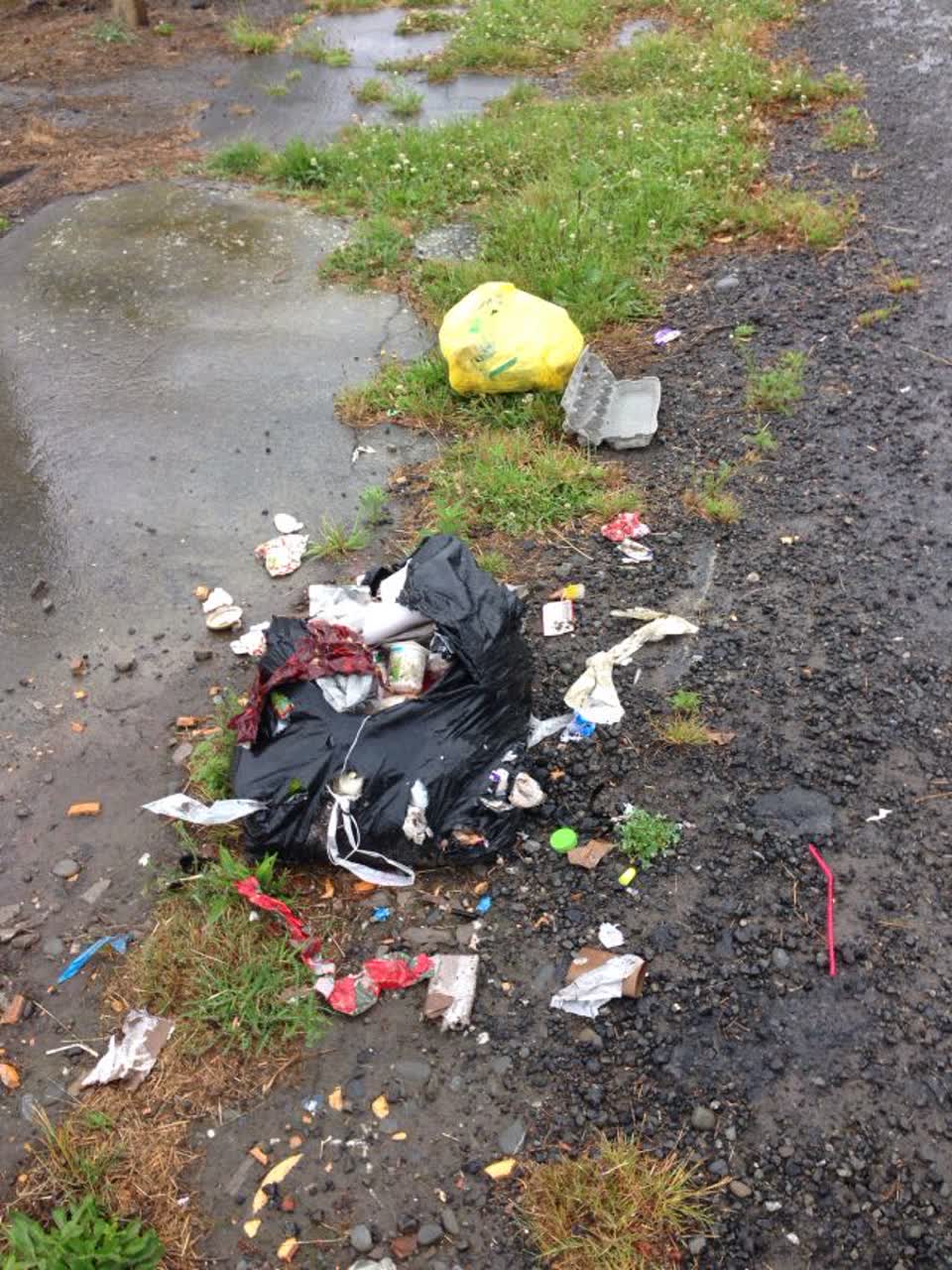 The photograph attached to this rubbish/recycling report