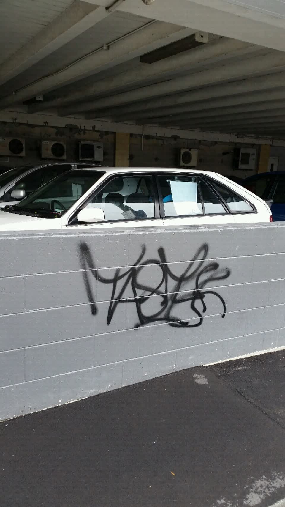 The photograph attached to this graffiti report