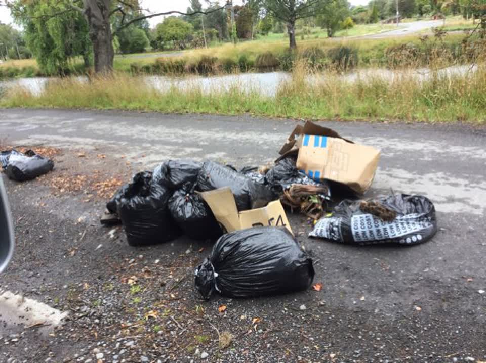 The photograph attached to this rubbish/recycling report
