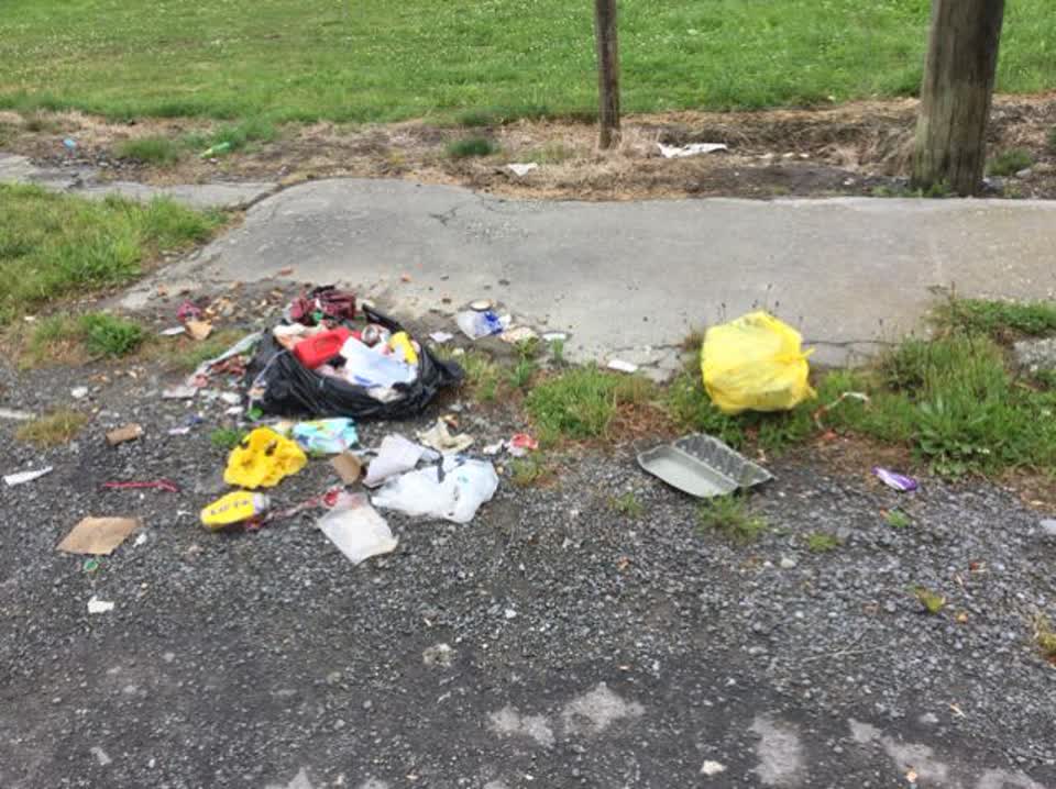 The photograph attached to this rubbish/recycling report