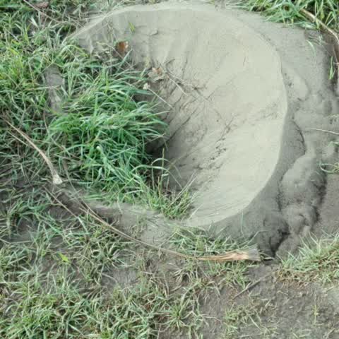 Parks, a report photo