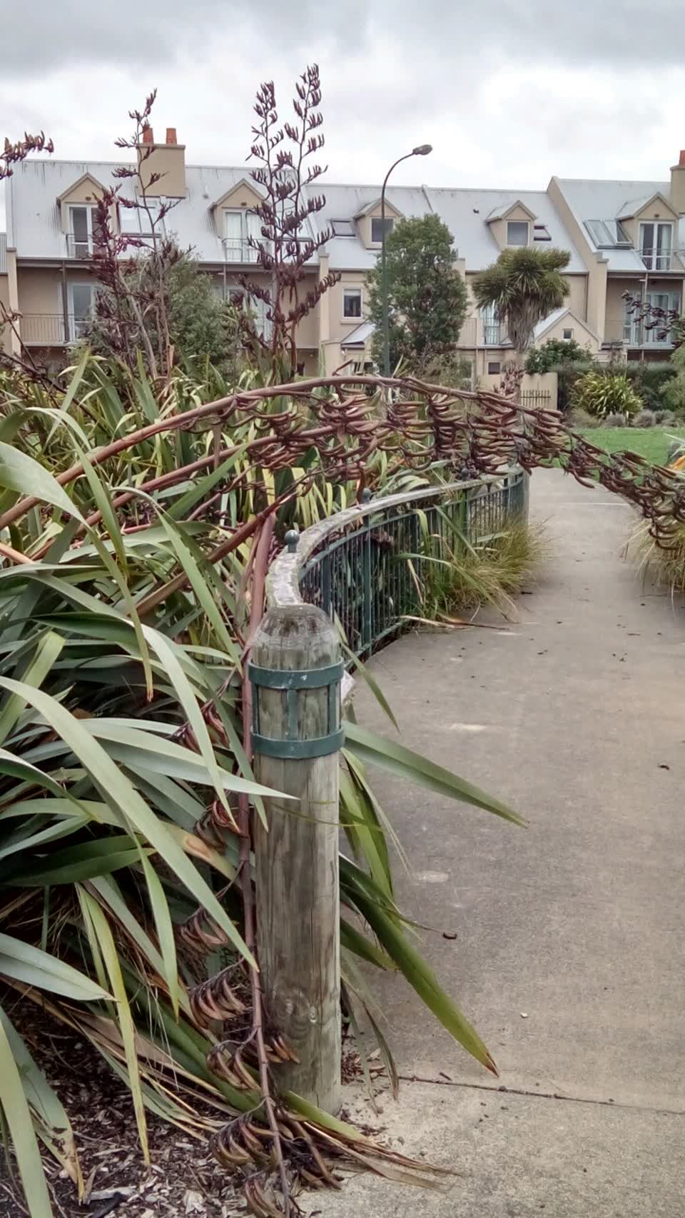 The photograph attached to this parks report