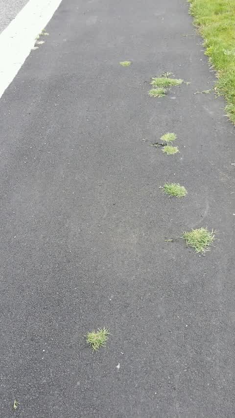 Roading/Streets, a report photo