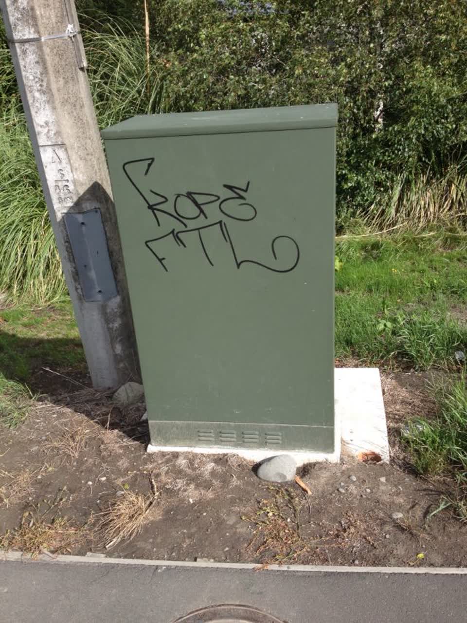The photograph attached to this graffiti report