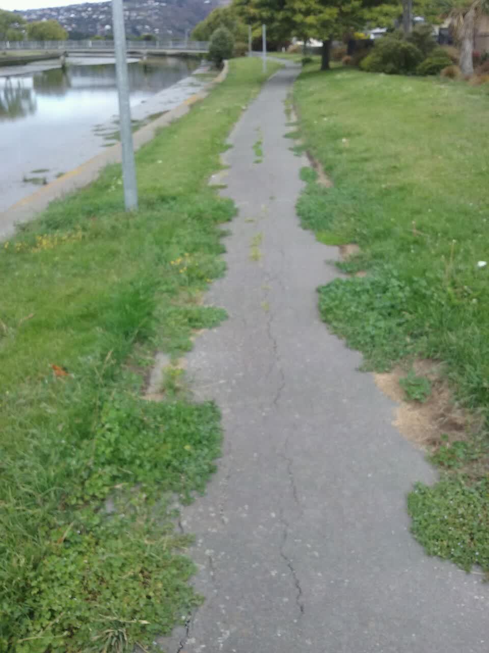 The photograph attached to this parks report