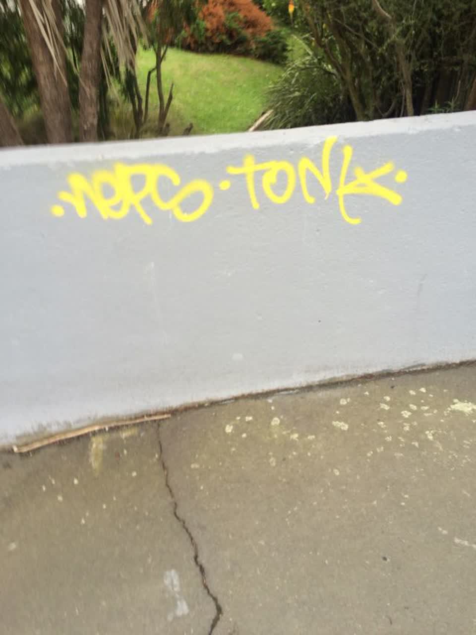 The photograph attached to this graffiti report