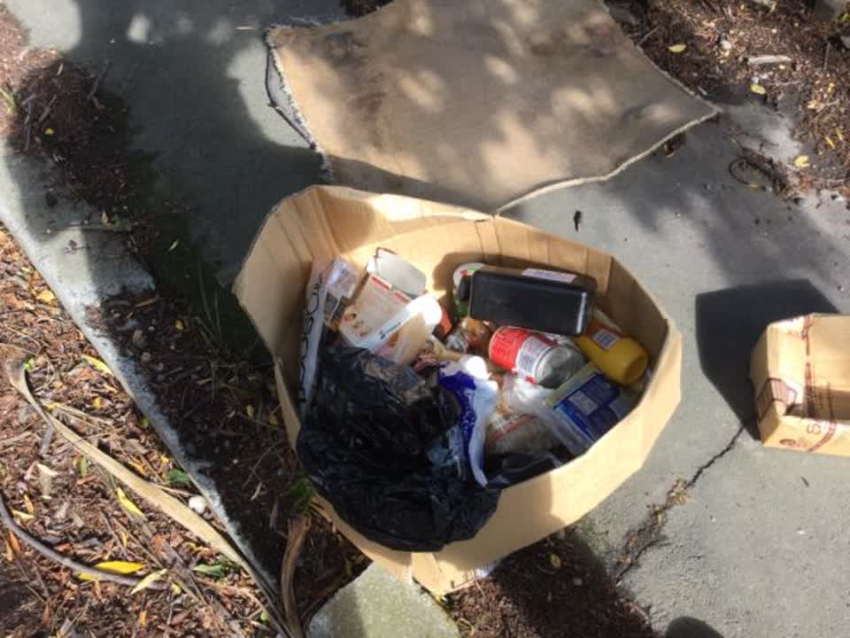 The photograph attached to this rubbish/recycling report