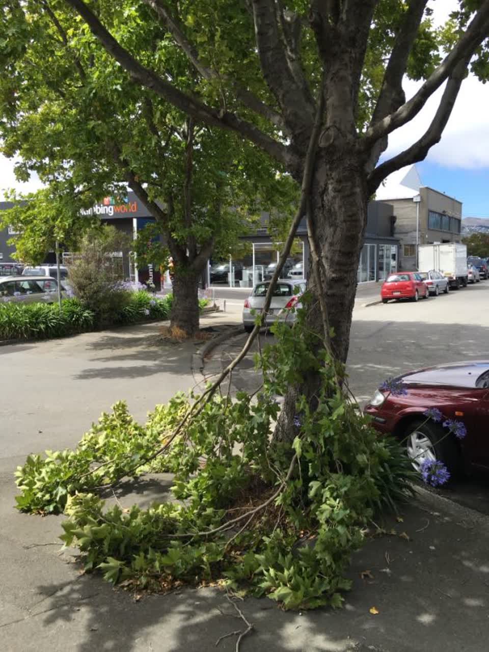 The photograph attached to this roading/streets report