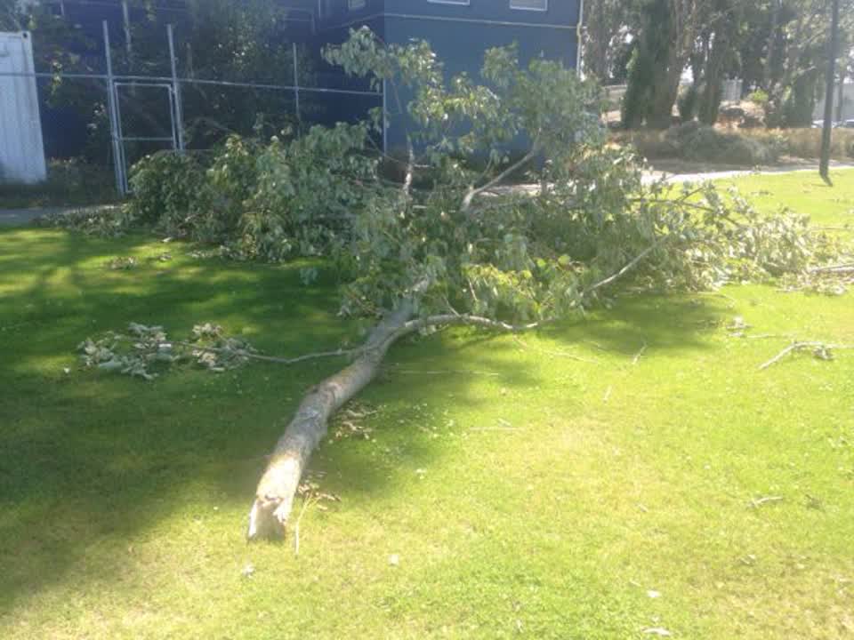 The photograph attached to this parks report