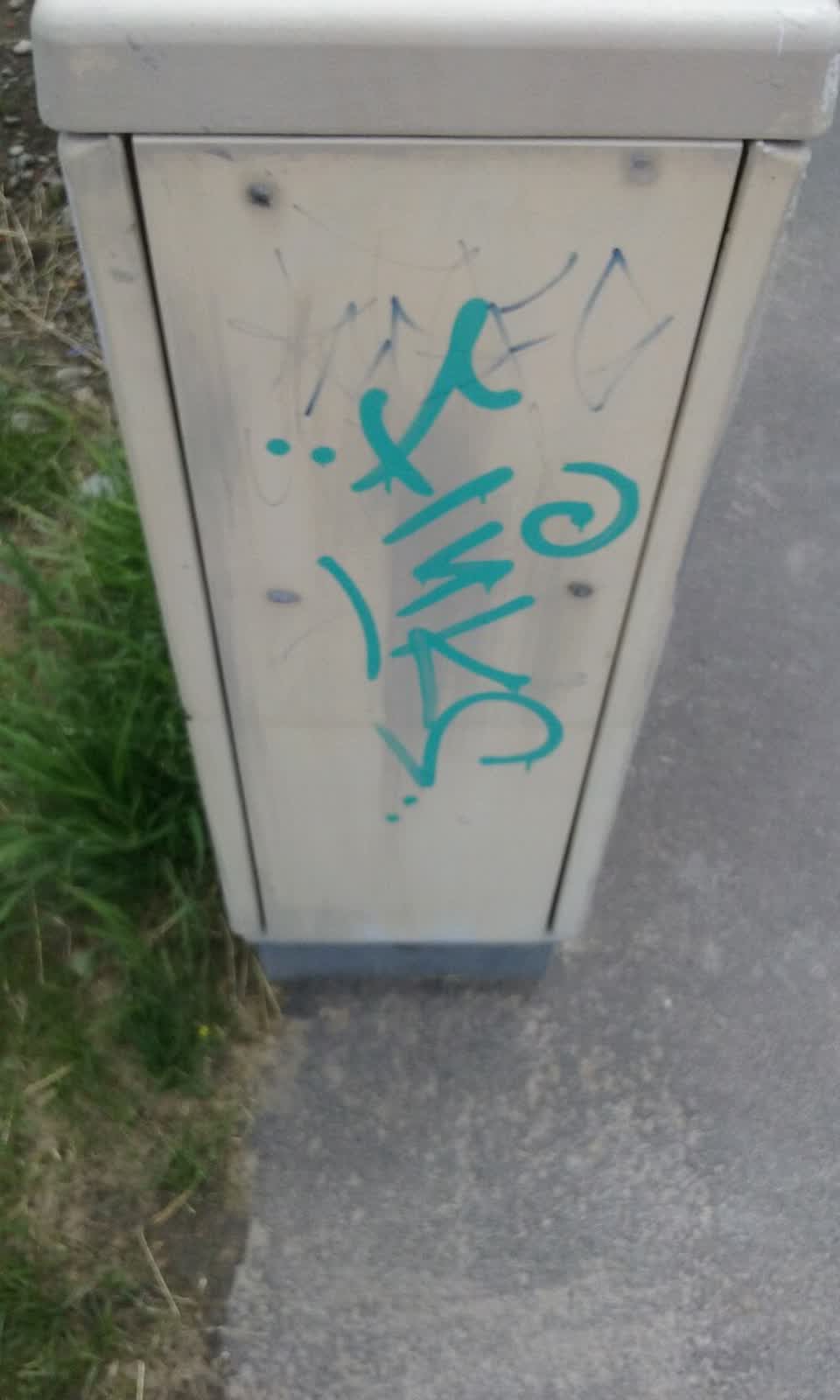 The photograph attached to this graffiti report