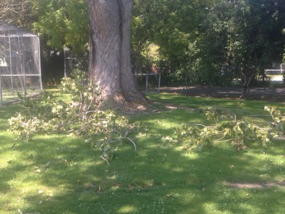 The photograph attached to this parks report