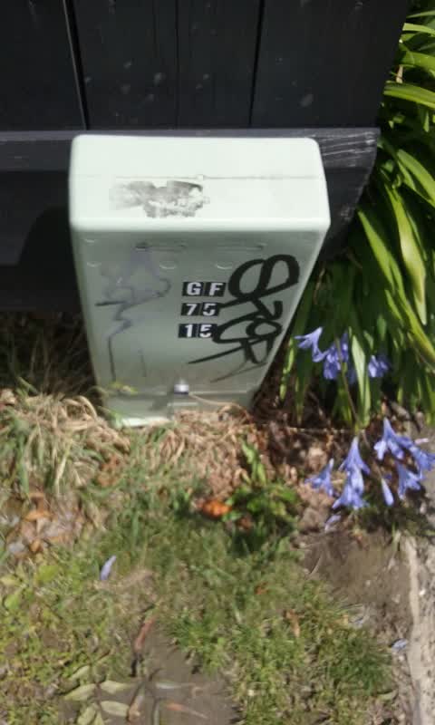 Graffiti, a report photo