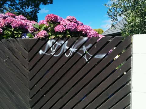 Graffiti, a report photo