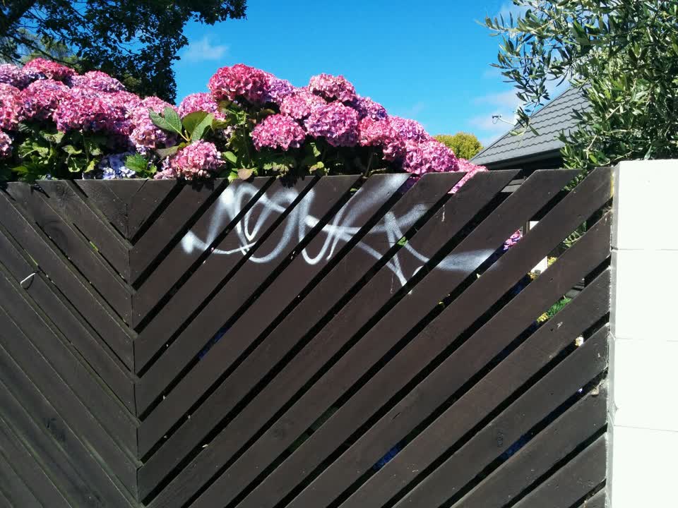 The photograph attached to this graffiti report