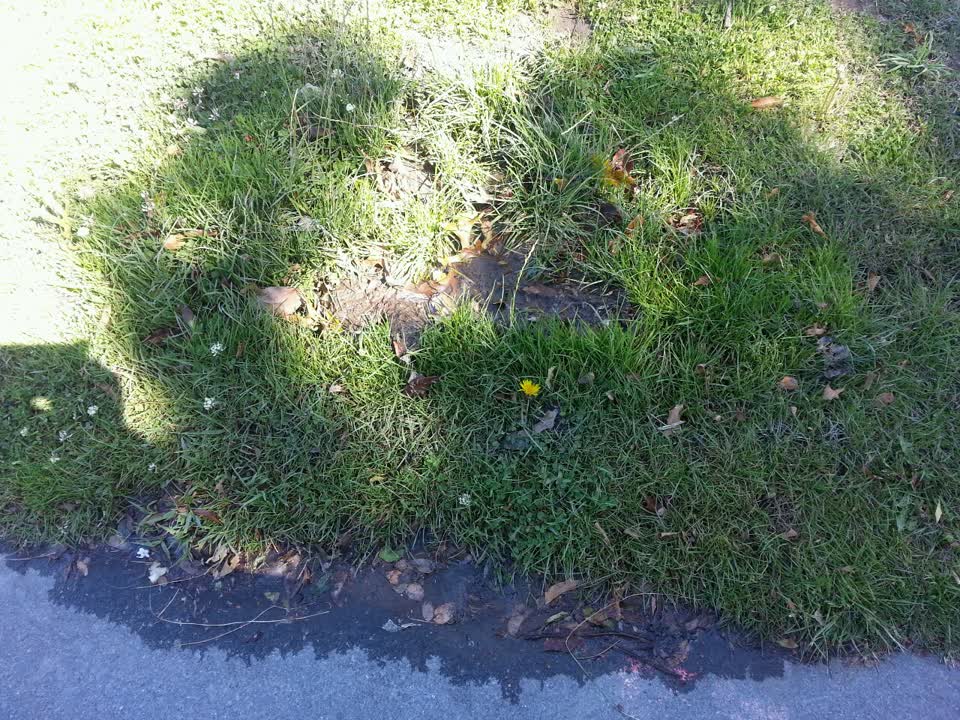The photograph attached to this water supply report