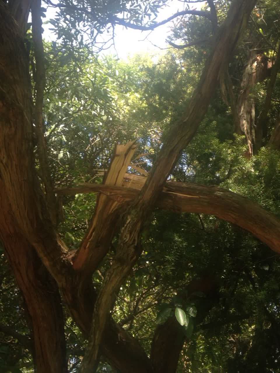 The photograph attached to this parks report