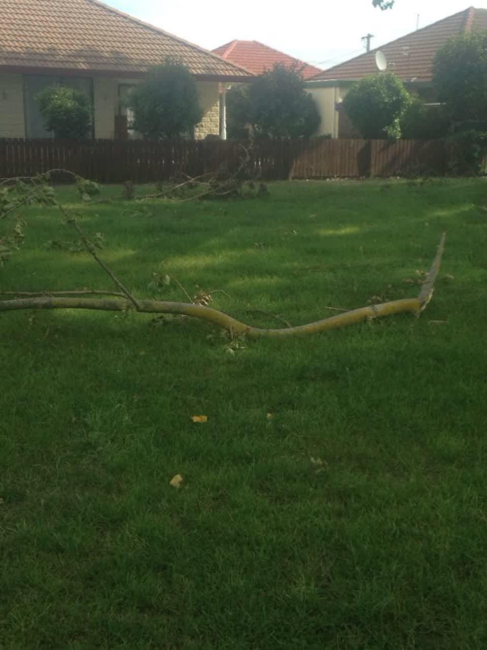 The photograph attached to this parks report