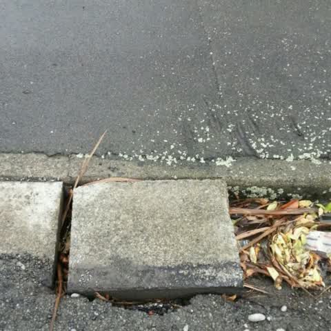 Roading/Streets, a report photo