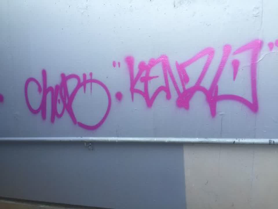 The photograph attached to this graffiti report