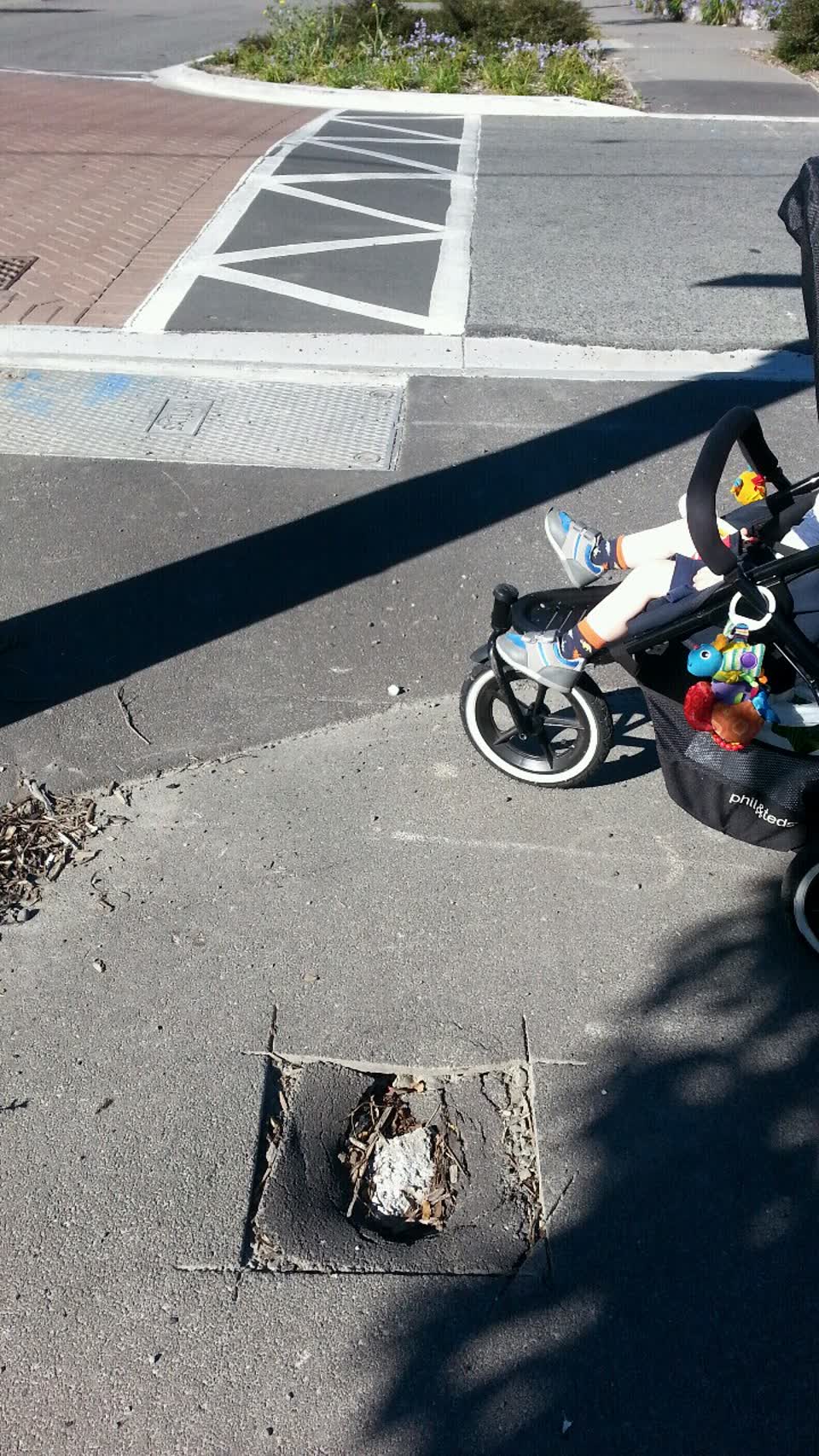 The photograph attached to this roading/streets report