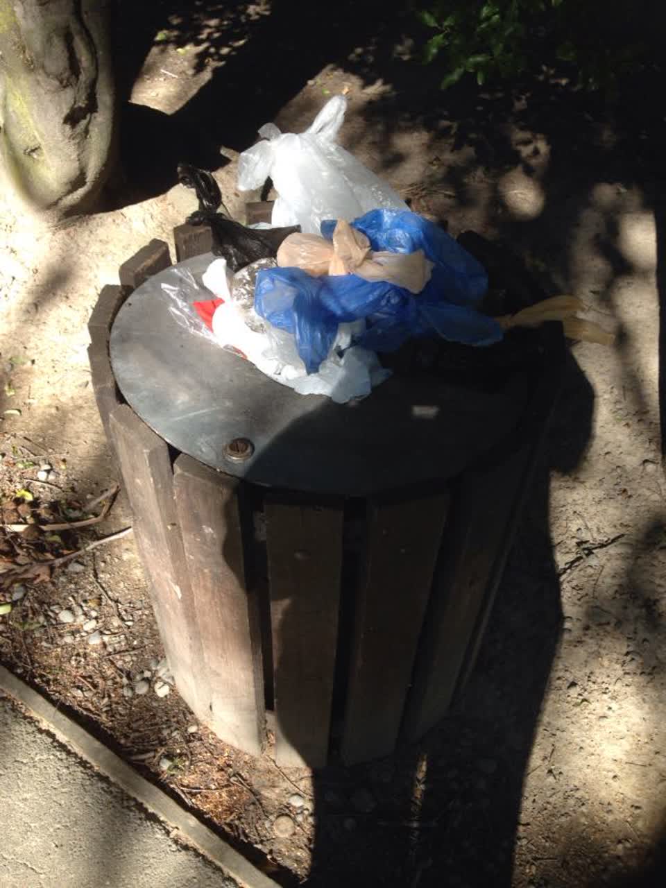 The photograph attached to this parks report