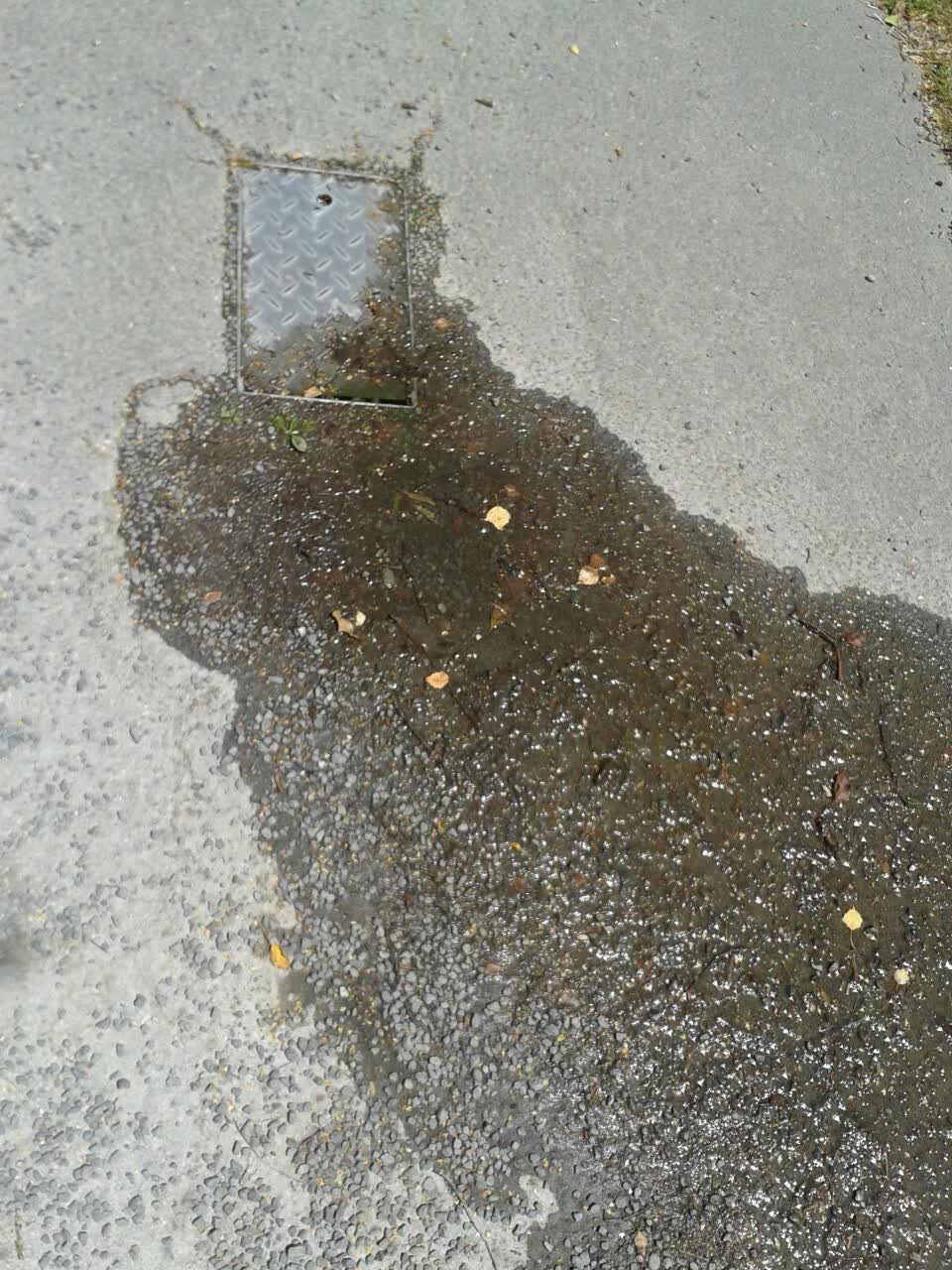 The photograph attached to this water supply report