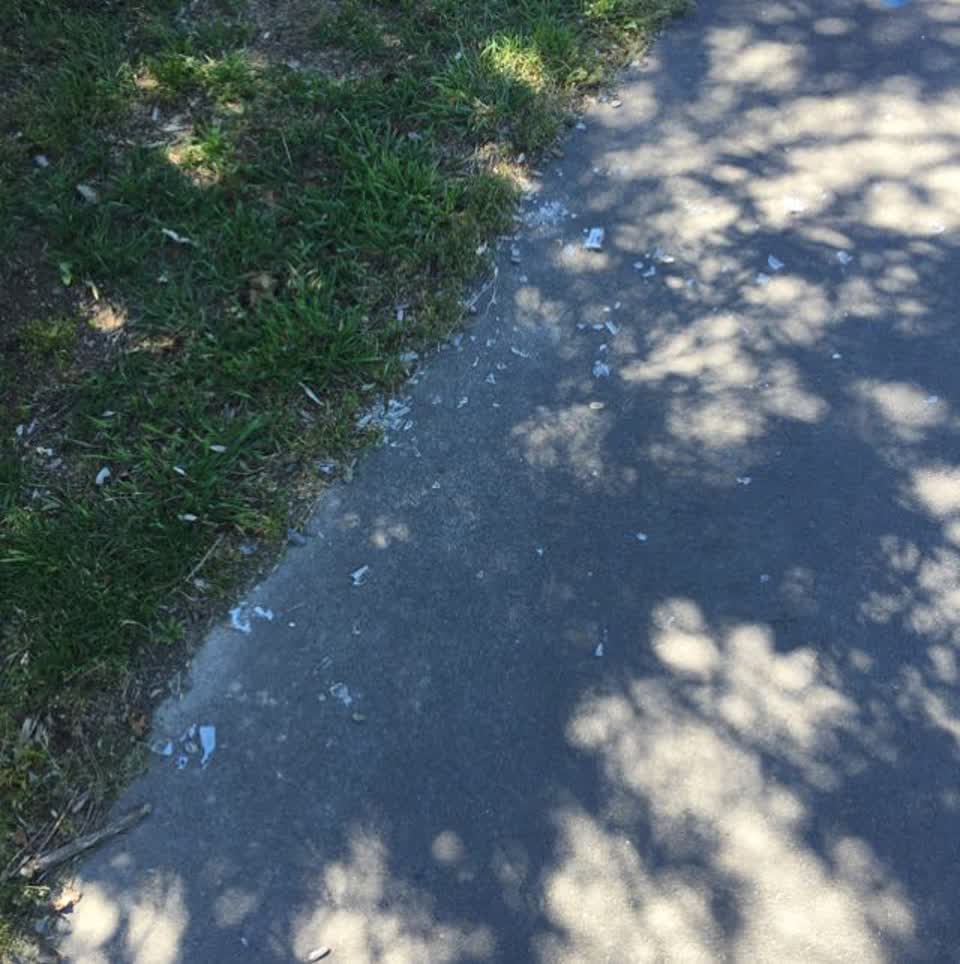 The photograph attached to this parks report