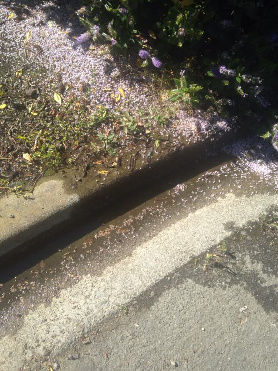 The photograph attached to this wastewater/stormwater report