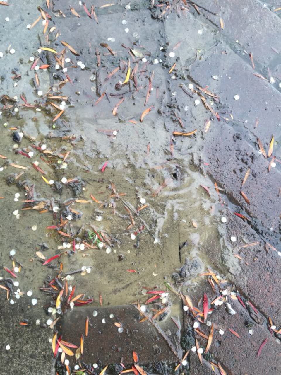 The photograph attached to this water supply report