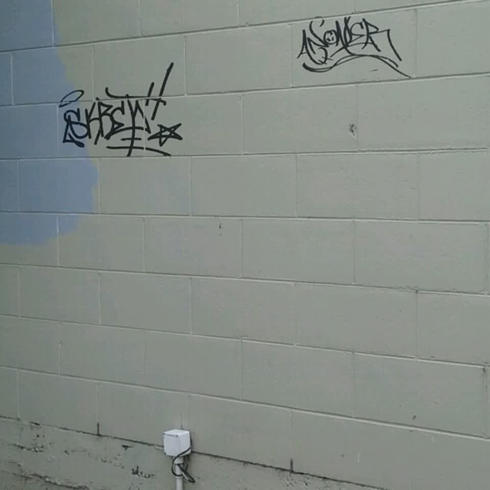 The photograph attached to this graffiti report