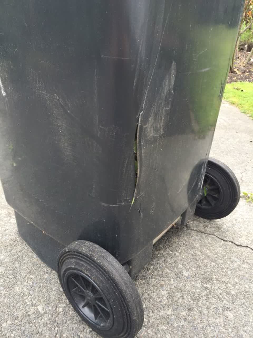 The photograph attached to this rubbish/recycling report