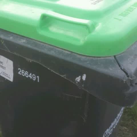 Rubbish/Recycling, a report photo