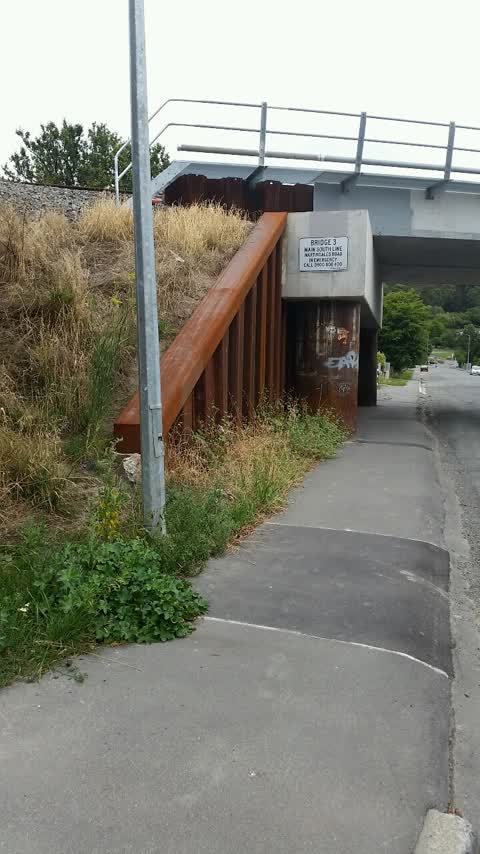 Roading/Streets, a report photo