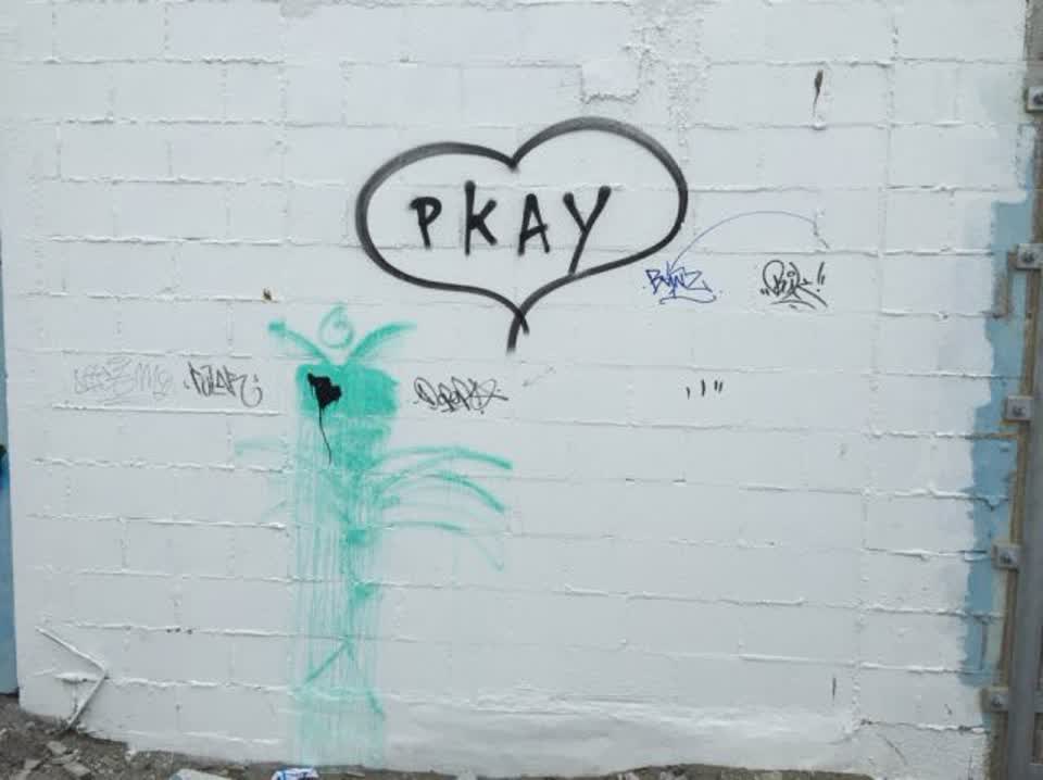 The photograph attached to this graffiti report
