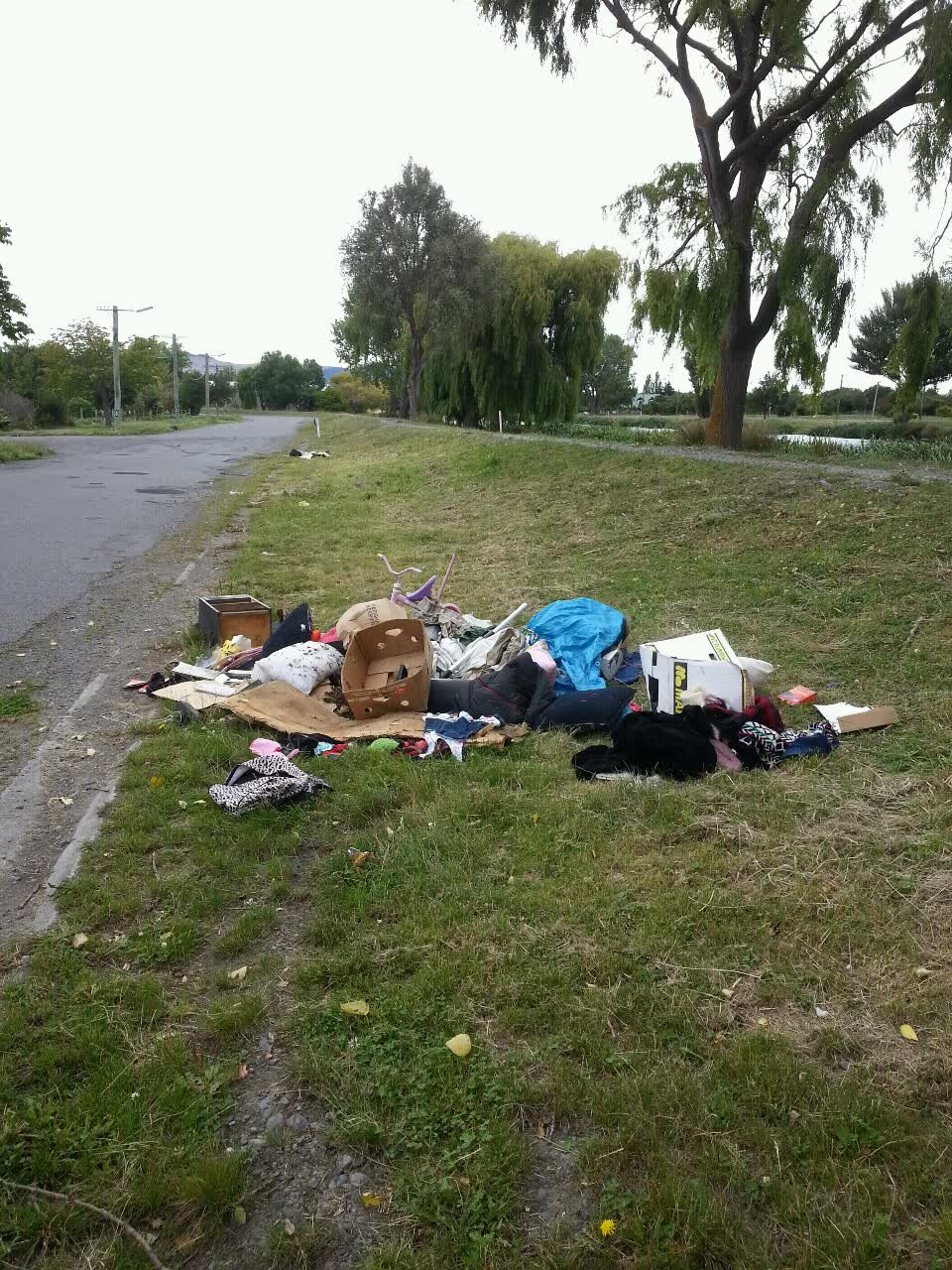 The photograph attached to this rubbish/recycling report