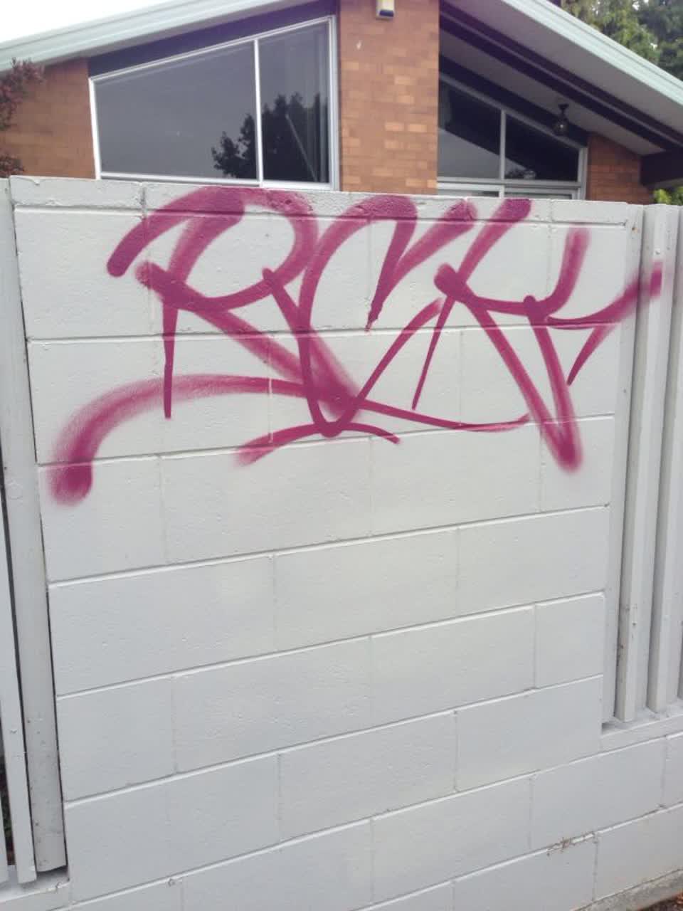 The photograph attached to this graffiti report