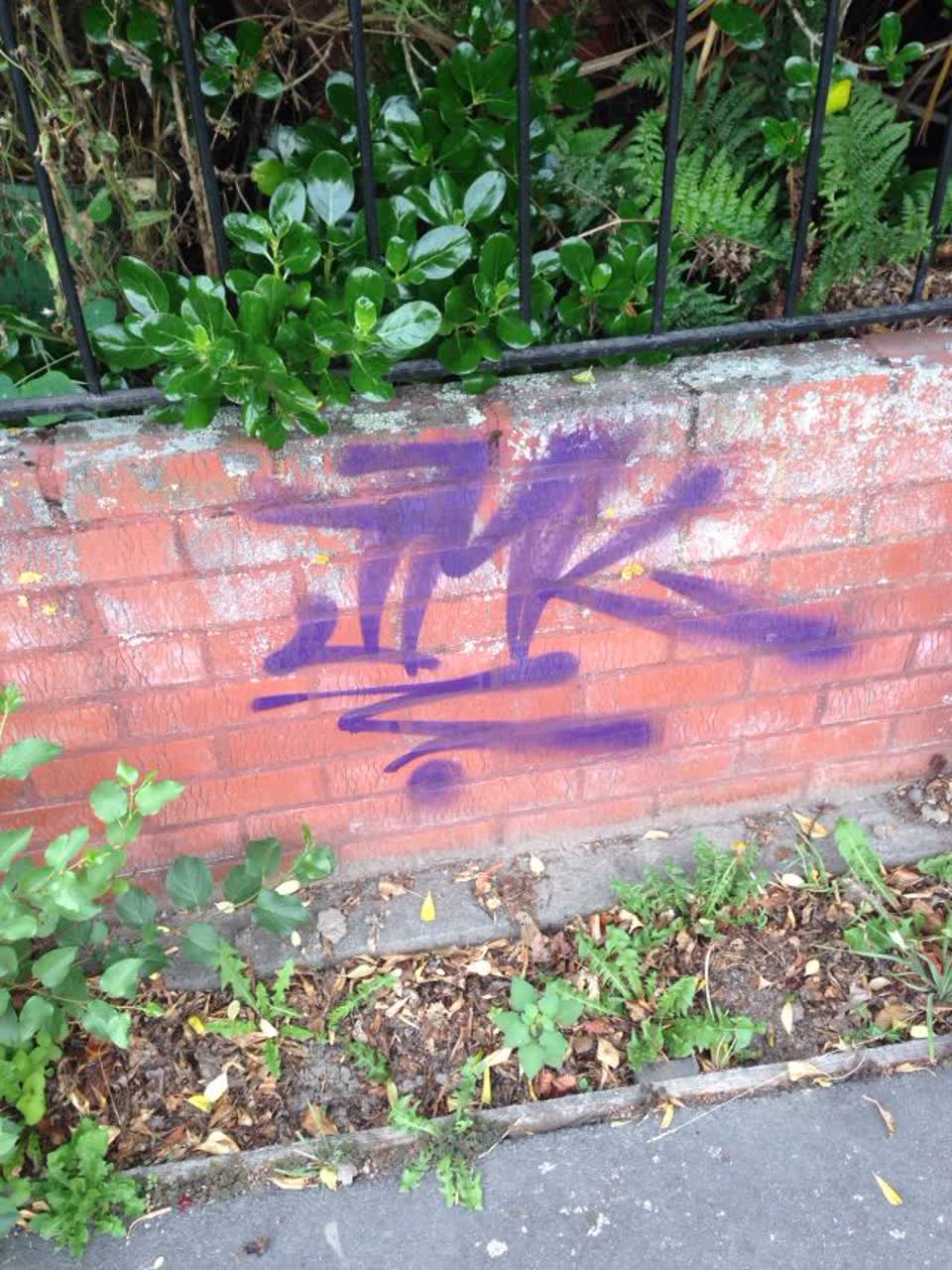 The photograph attached to this graffiti report