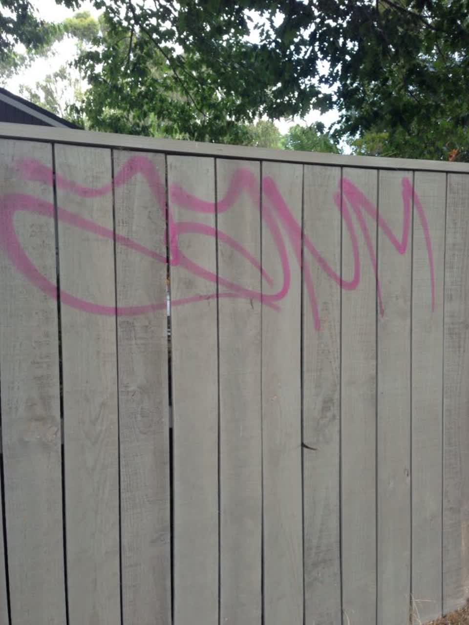 The photograph attached to this graffiti report