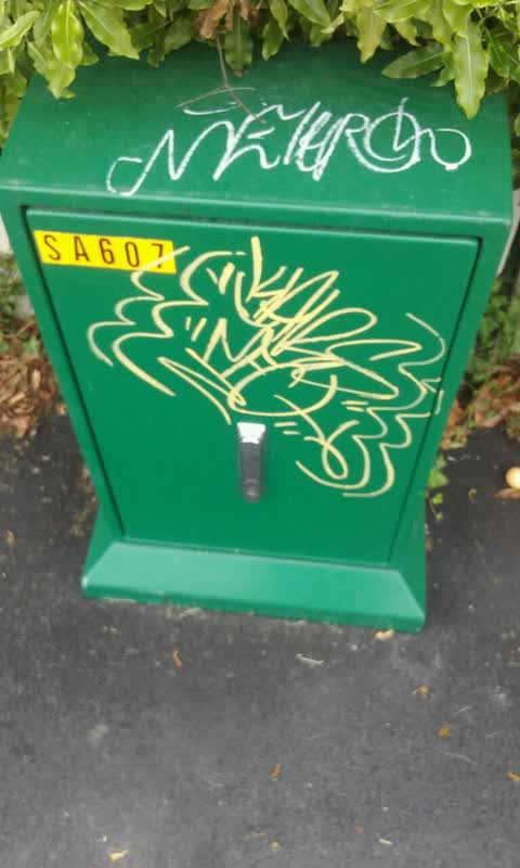 Graffiti, a report photo