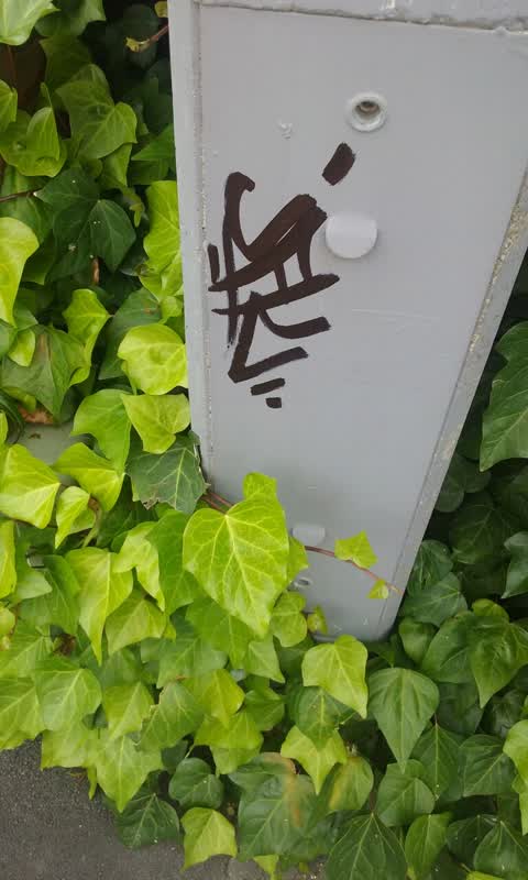 Graffiti, a report photo