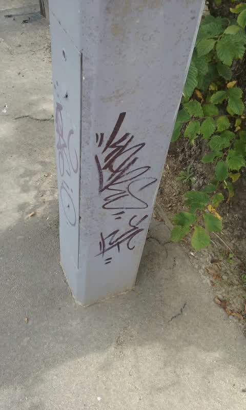 Graffiti, a report photo