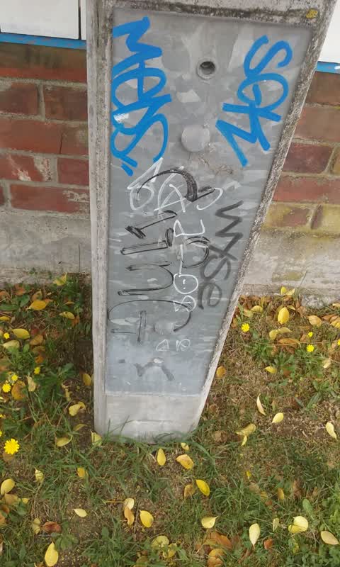 Graffiti, a report photo