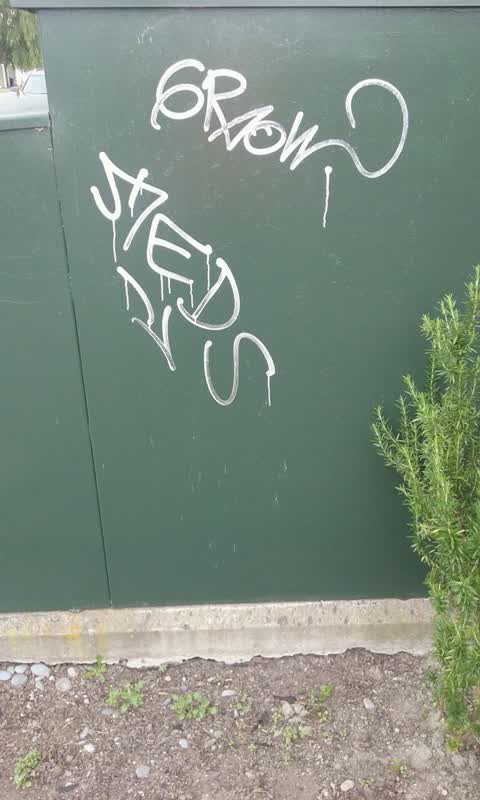 Graffiti, a report photo