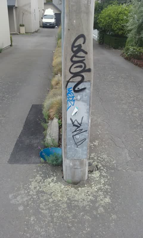 Graffiti, a report photo