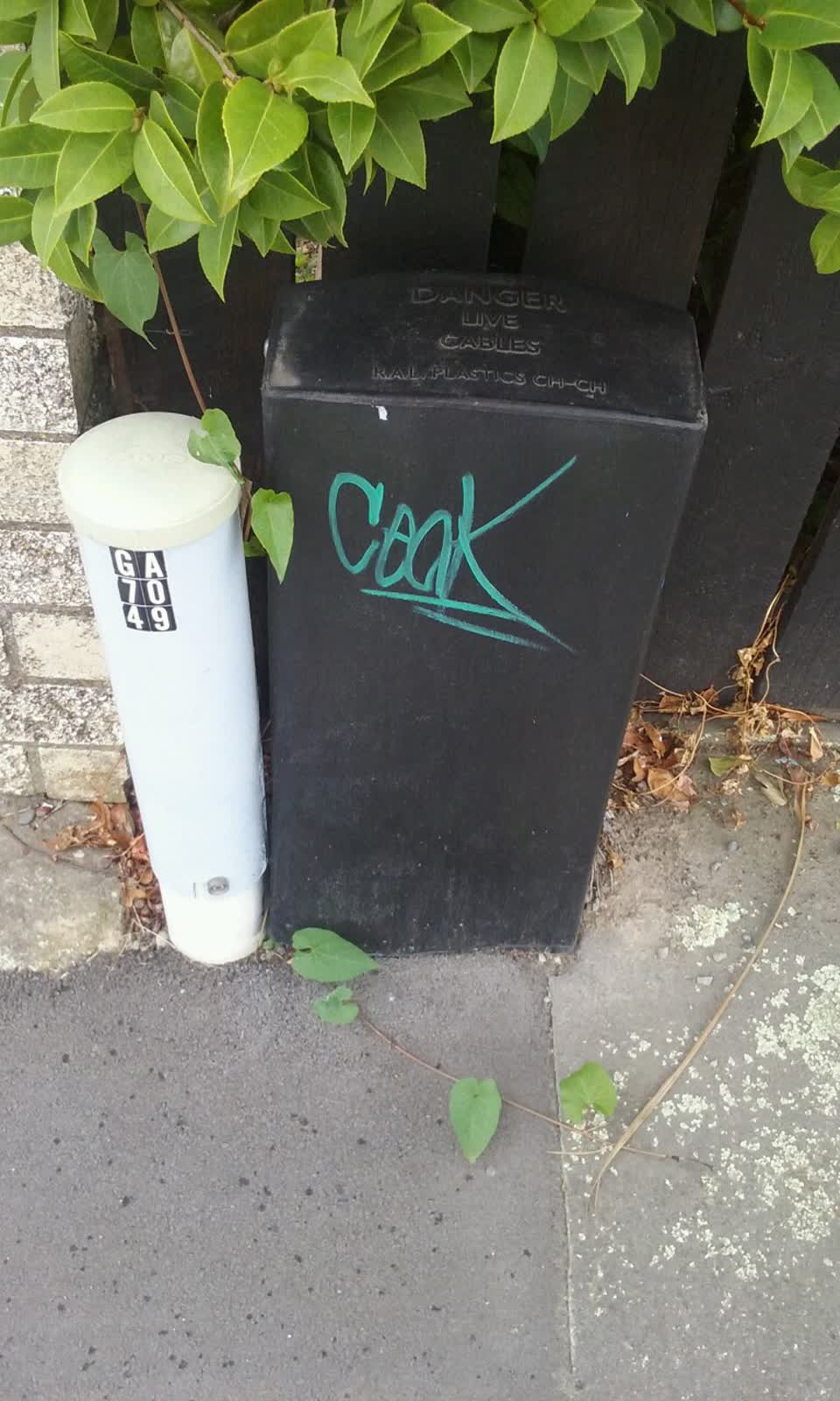The photograph attached to this graffiti report