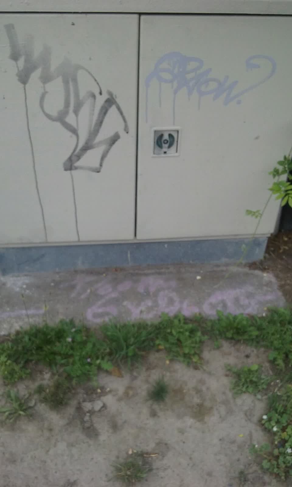 The photograph attached to this graffiti report