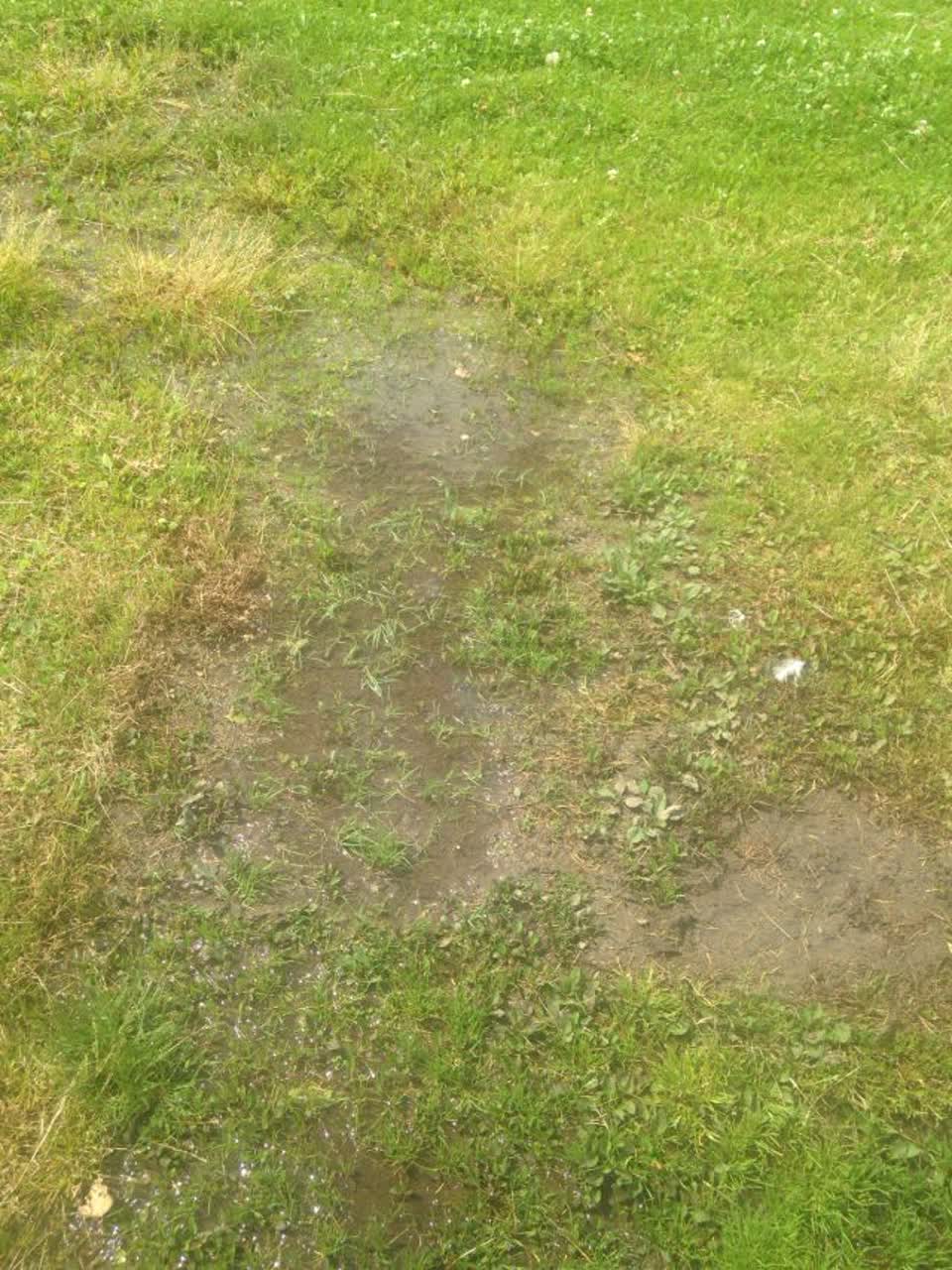 The photograph attached to this parks report